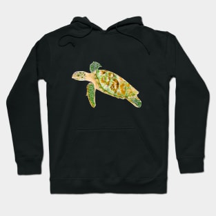 Turtle Hoodie